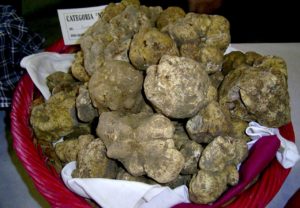 fiera tartufo cortazzone 2007 e1493367896926 300x208
