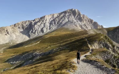 1600x1000 il piccolo tibet 2