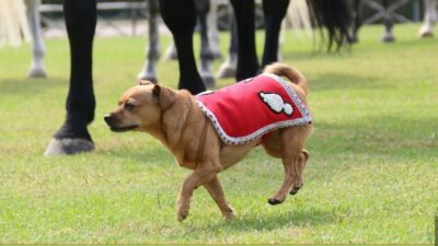 alpinismo 25 1 1024x576