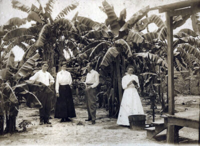 plantationowners