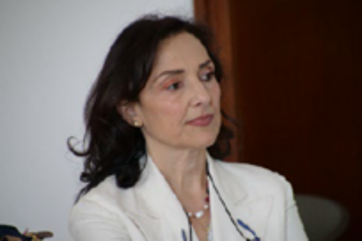 maria candida imbrugia presidente ii commissione cgie speciale assemblea plenaria 2024 la commissione tematica sicurezza tutela sociale e sanitaria immagine3
