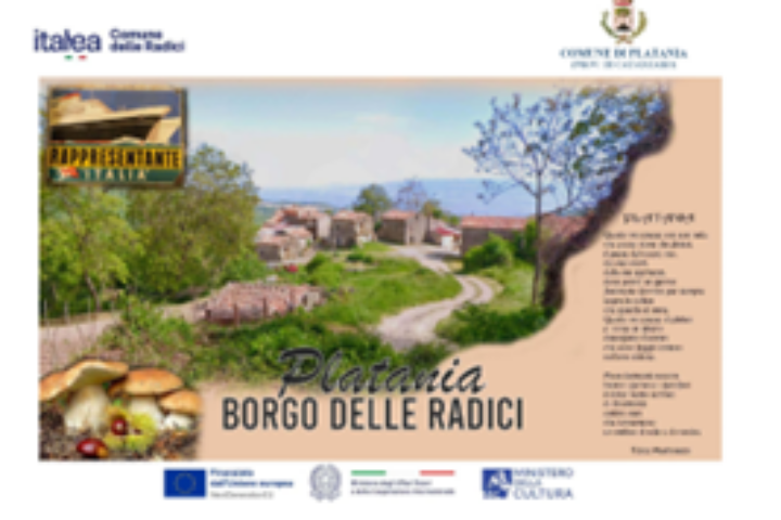platania borgo delle radici immagine2
