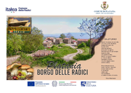 platania borgo delle radici immagine2
