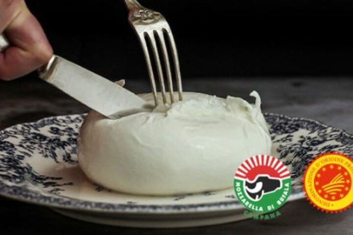 19mozzarellabufala