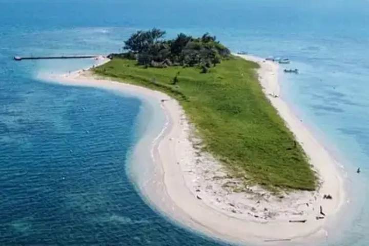 cancuncitopuntovert