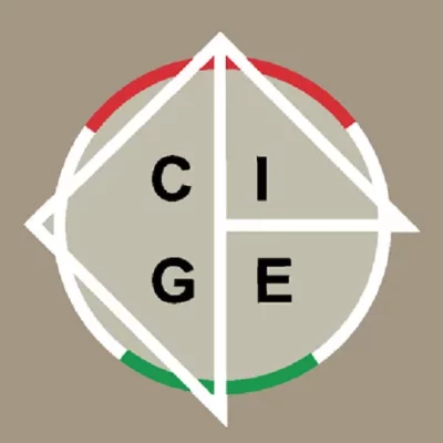 cropped cgie icon