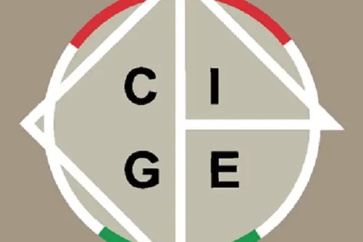 cropped cgie icon