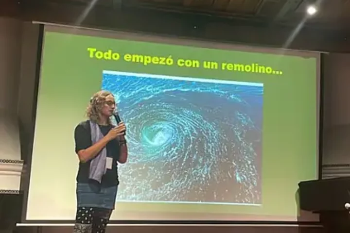 arimpuntovert