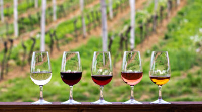 vino vini