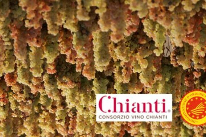7chiantilovers