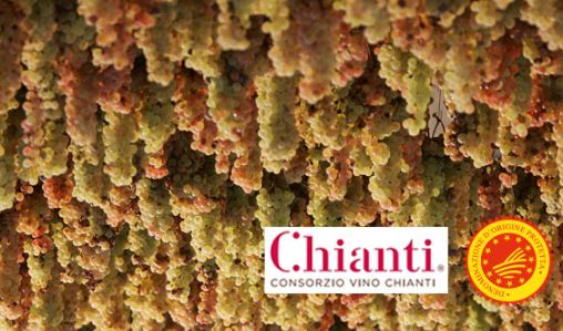 7chiantilovers