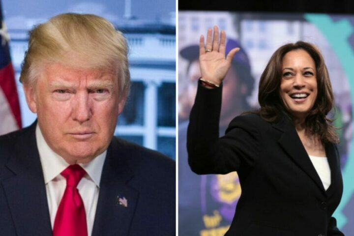 donald trump kamala harris 1024x576