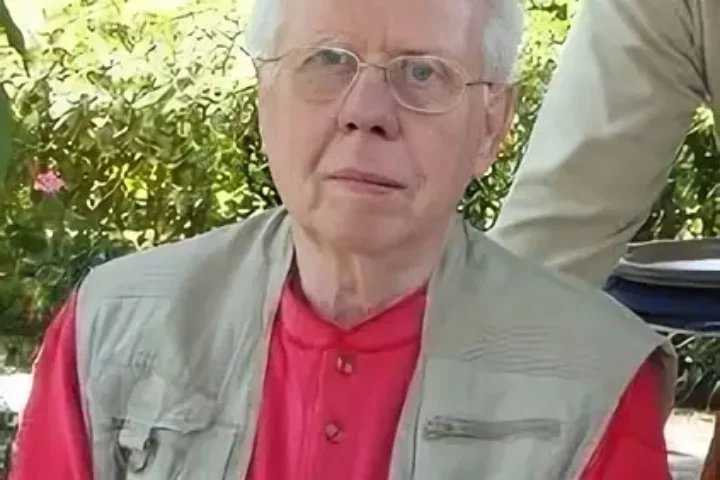 papafotopuntovert