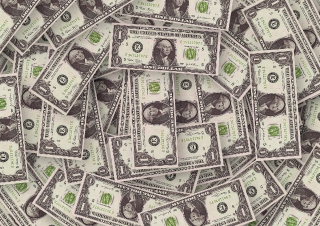 dollari24