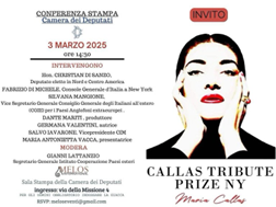 facebook presentato alla camera dei deputati levento maria callas prize immagine18