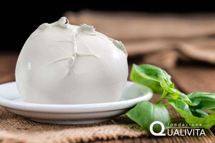 gf qualigeo mozzarella di bufala dop 3