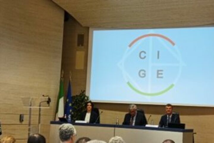 tajani cgie immagine15 437x223