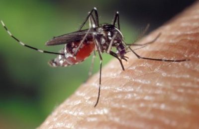 west nile