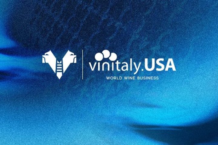 19vinitalyusa