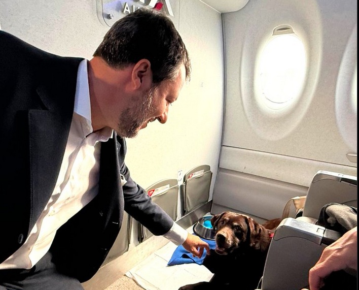 cani in aereo