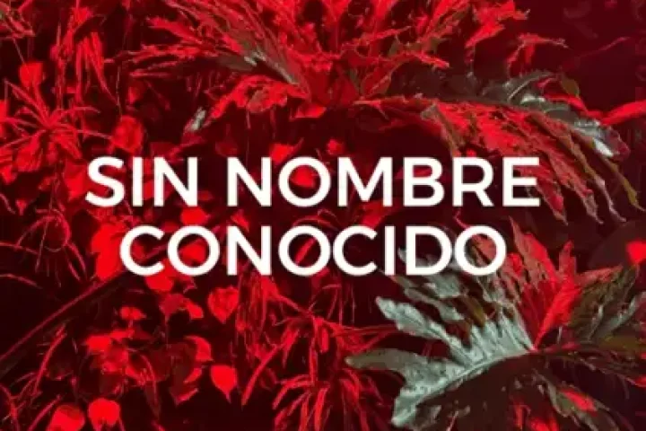 sinnombreconocidopuntovert