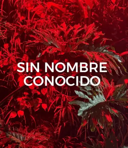 sinnombreconocidopuntovert