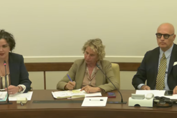 commissione esteri difesa del senato laudizione del comitato di presidenza del cgie immagine26 513x223