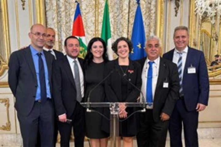 legge sulla cittadinanza riconoscimento per i figli dei nati italiani allesteroimmagine19