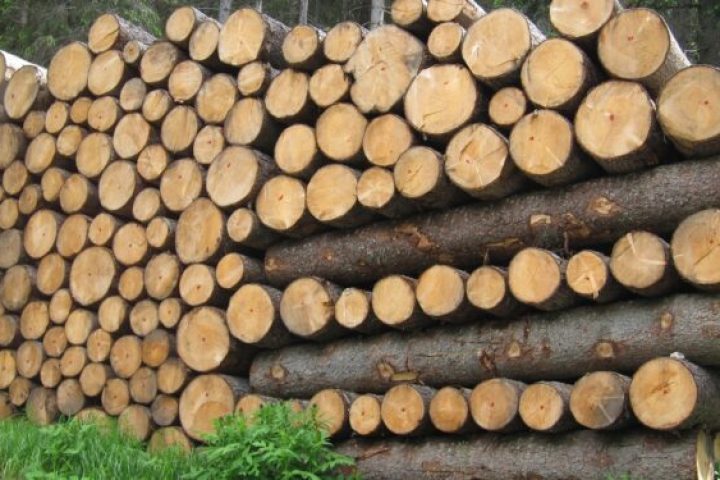 legno 750x375