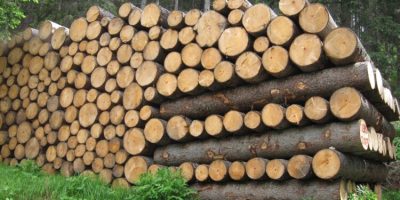 legno 750x375