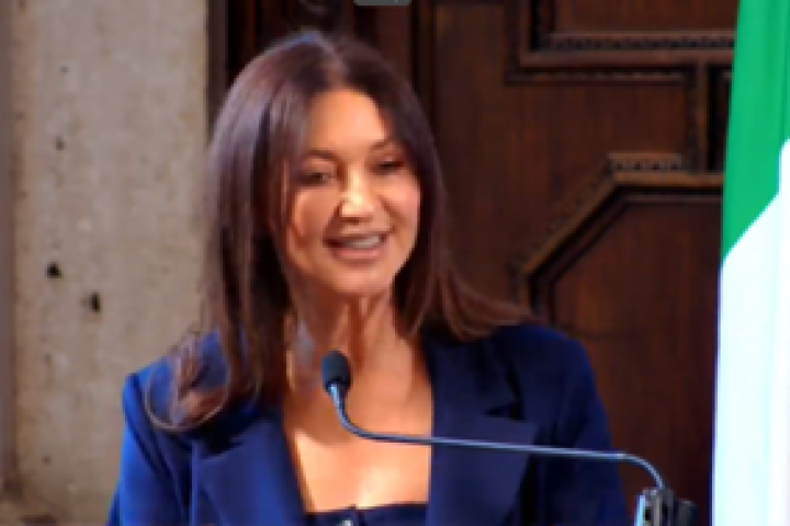 consiglio dei ministri silvia simoncini direttore generale per gli italiani allestero e le politiche migratorie della farnesina immagine6