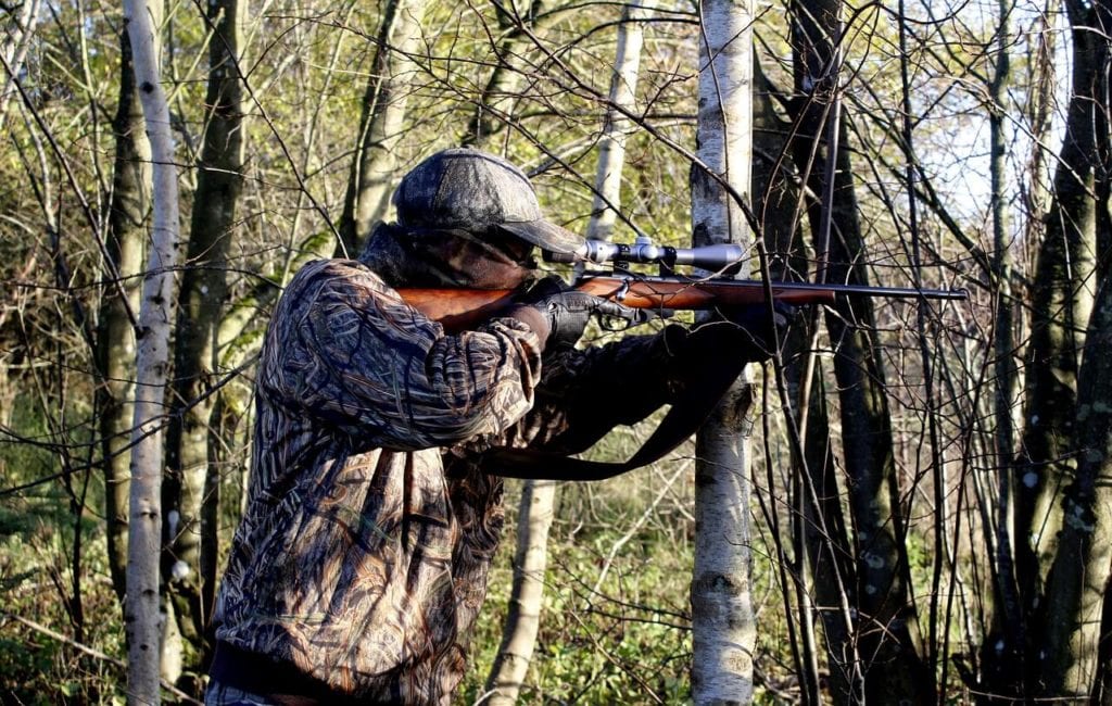 hunter 3781224 1280 1 1024x650