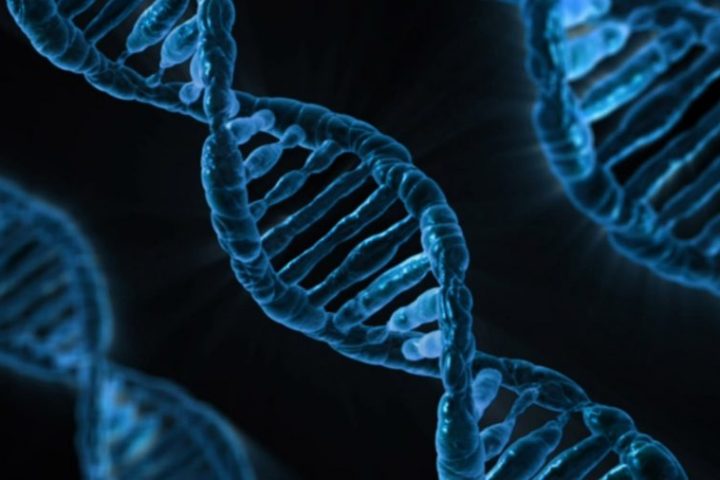 medicina dna