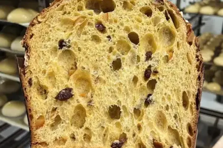 panettonepuntovert