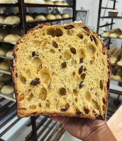 panettonepuntovert