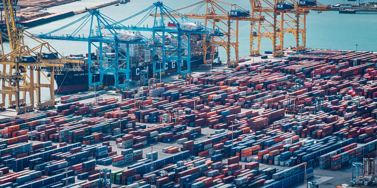 64e45e8433b82fb8cc5d231a container terminal image