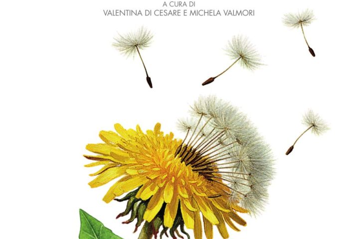 oceani allo speccio copertina(1)