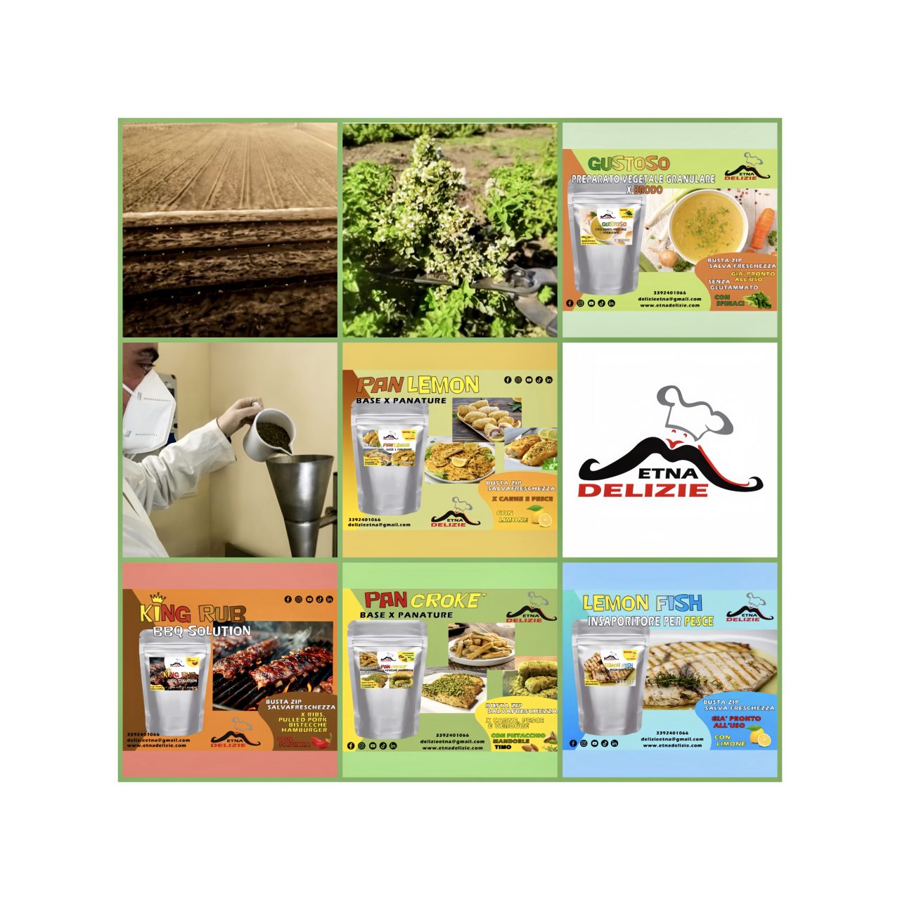 collage export 00b533ea 60d9 45bb bc73 1466d65b7bc3
