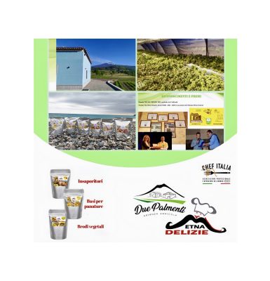collage export c06fa3fb a1d0 4a05 a274 1b19da3be8b8
