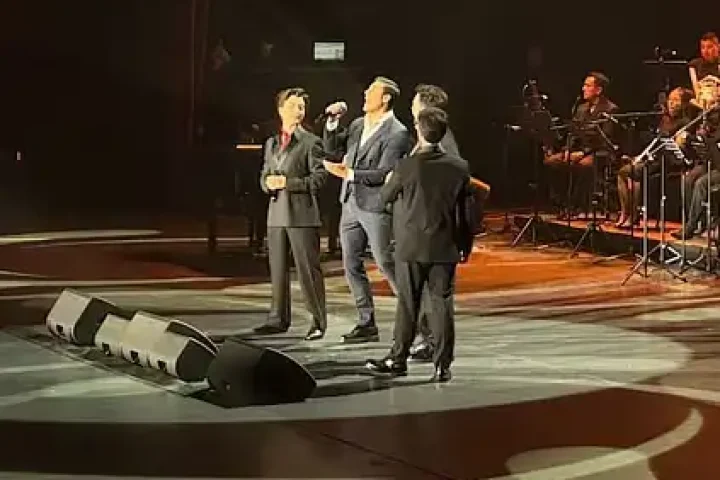 ilvolopuntovert