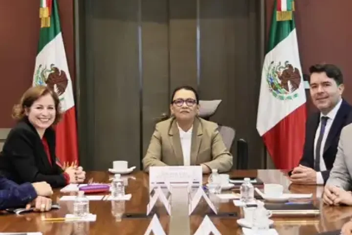 cardolettipuntovert