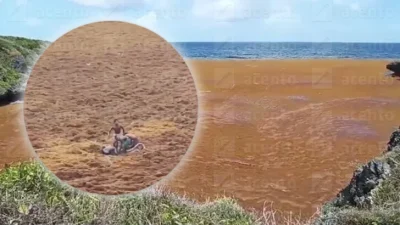 ninos caminan en sargazo en samana 728x410