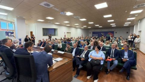14consultacalabra